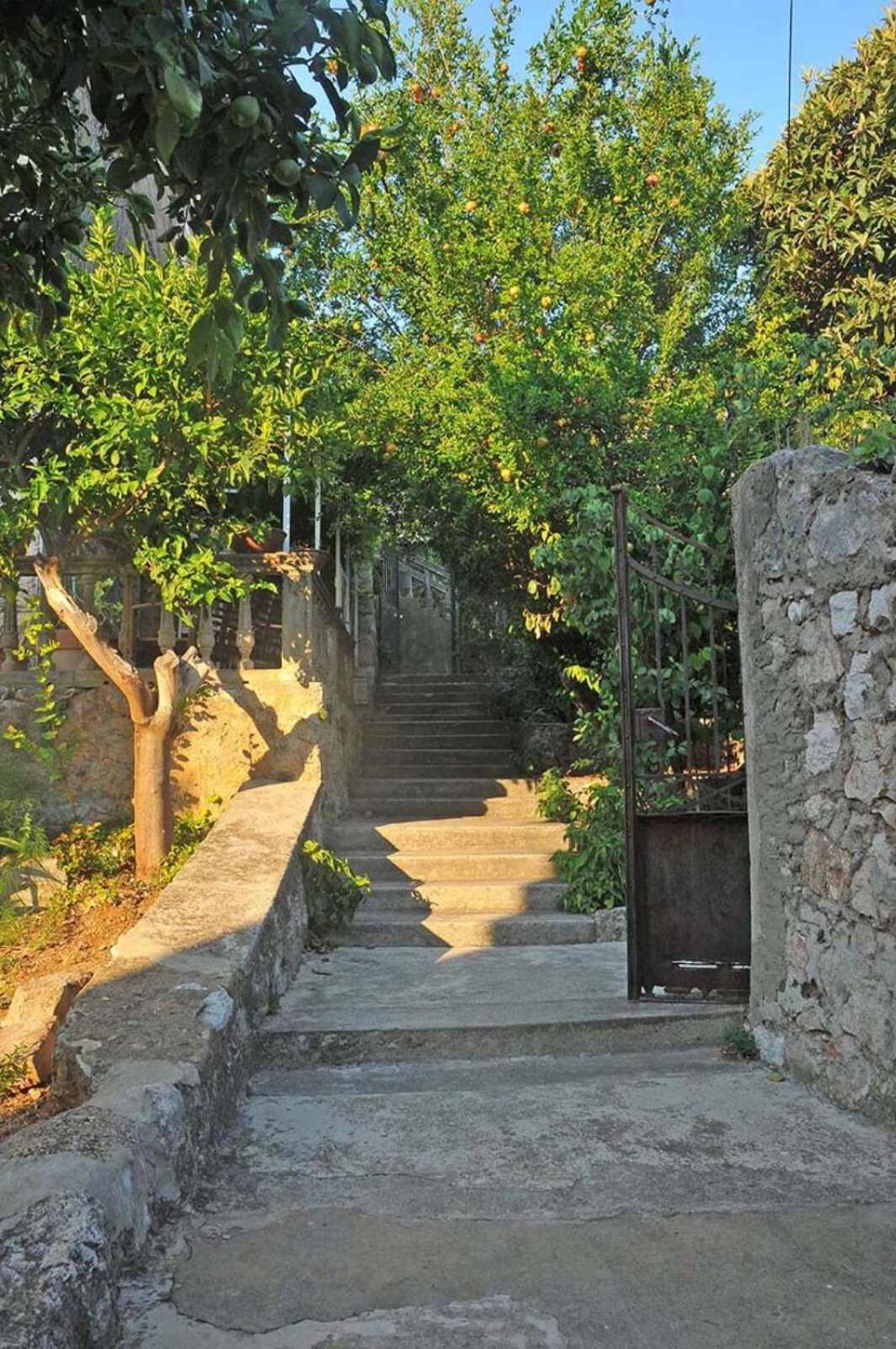 Spacious Room With A Panoramic View Of Harbor Dubrovnik Eksteriør bilde